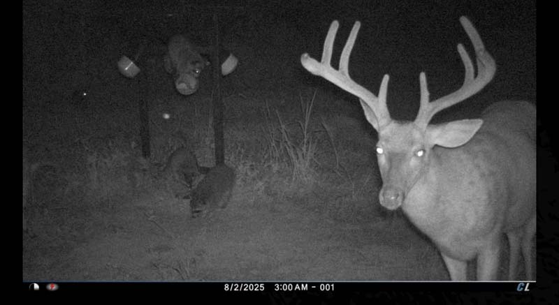 Professionally managed Ohio hunting land