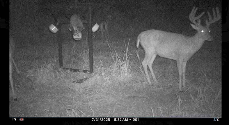 Recreational investment land Ohio