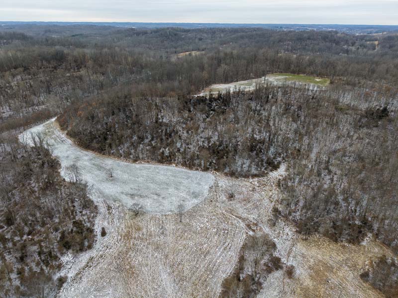 Established food plots Meigs County Ohio