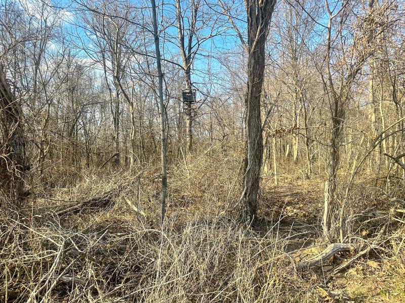 Low impact hunting land Southeast Ohio