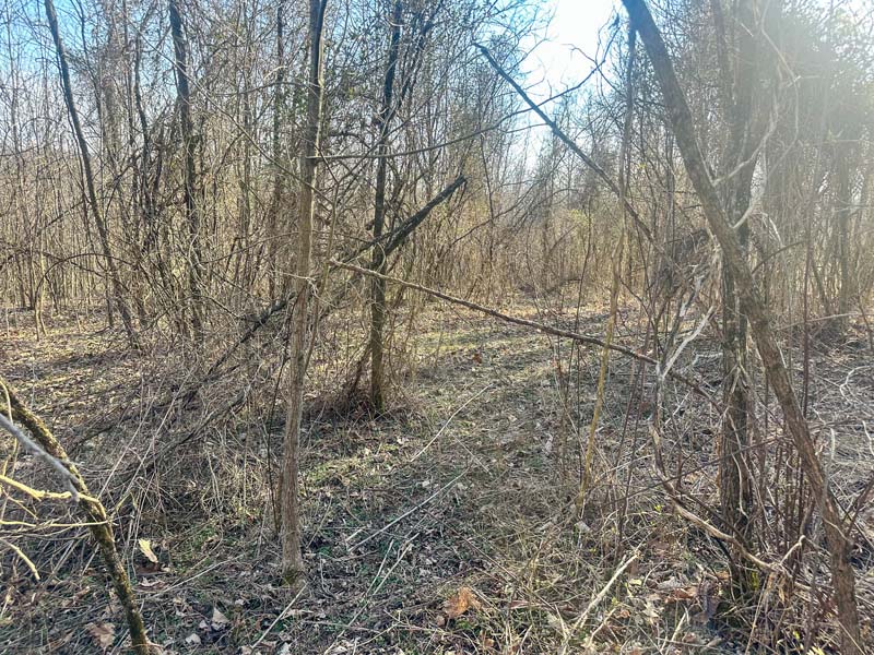 Interior water source Ohio hunting