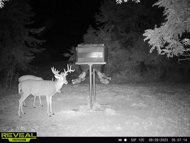 Mature hardwood timber Athens County Ohio