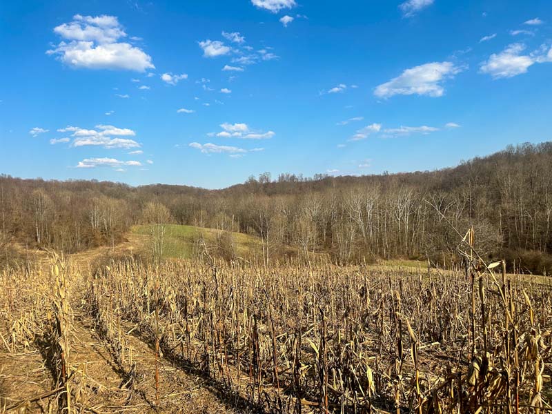 Recreational paradise Southeast Ohio land