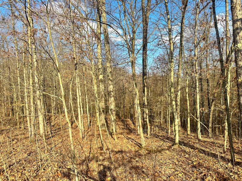 Peaceful rural land Southeast Ohio