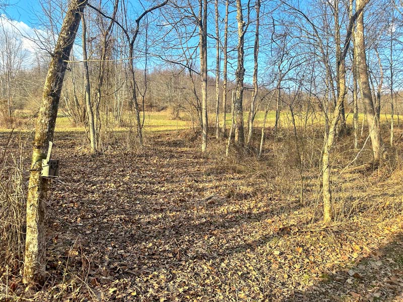 Premier whitetail land Southeast Ohio