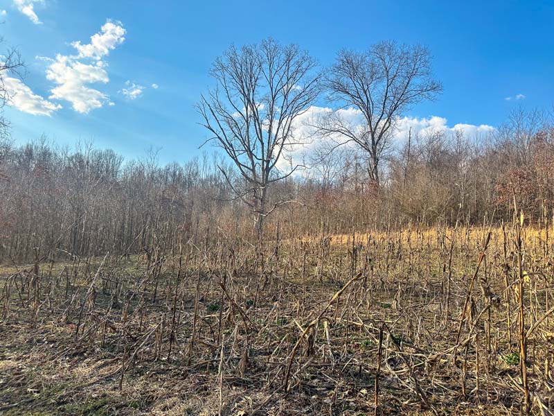 Rural hunting land Ohio investment