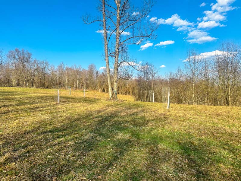 Private deer habitat Southeast Ohio
