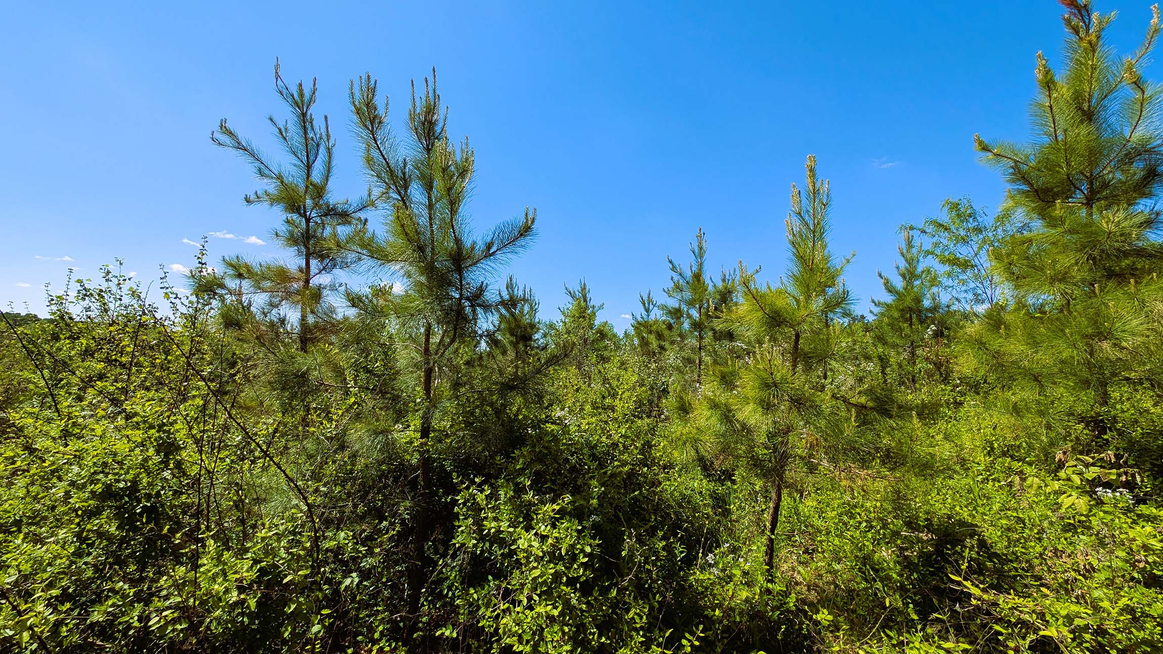 0 Baptist Hill Road T9 — 8.58-acre building tract with electric and public water, Chillicothe Ross County Ohio