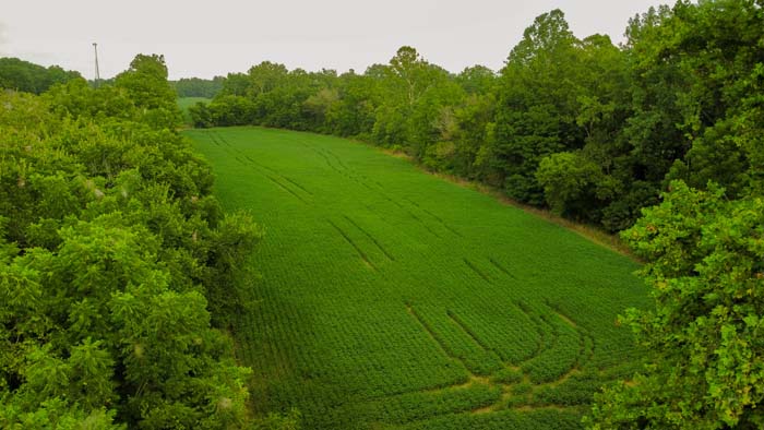 Knox County farmland and woods