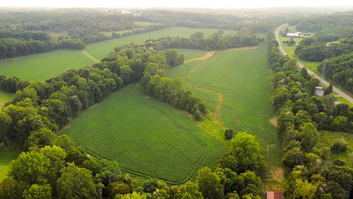 Open ground for development