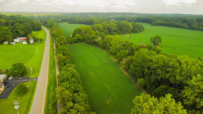 Productive field near Mount Vernon