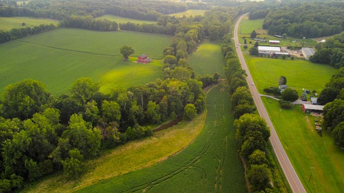 Wooded section with deer habitat