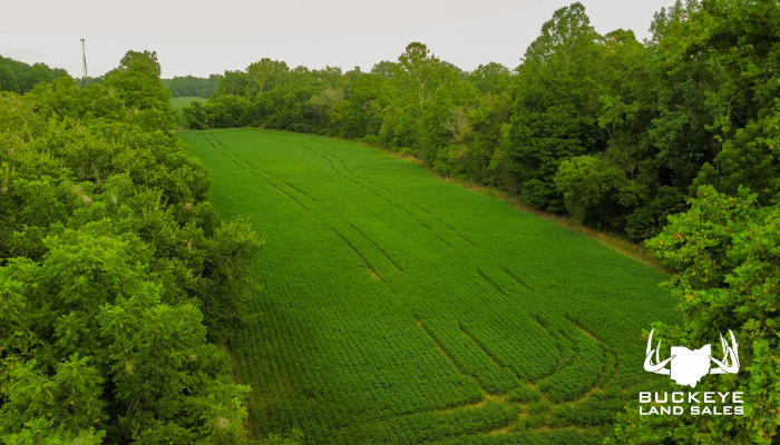 52+/- Acres, Mount Vernon, OH 43050