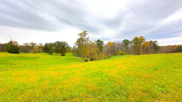 Rolling open pasture in Vinton County Ohio