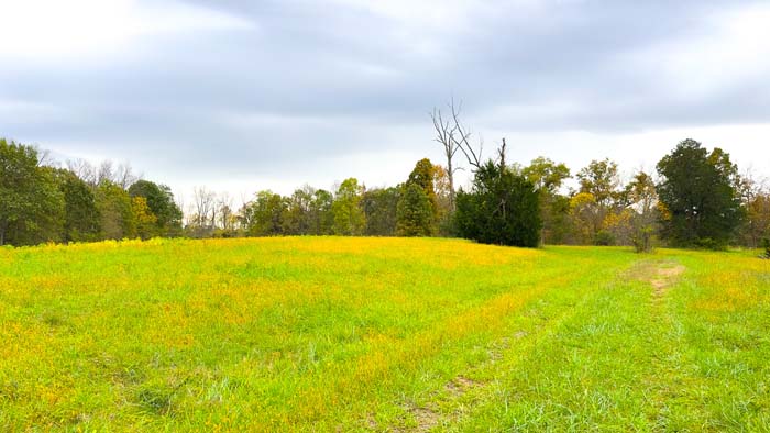 Open farm field with long-range views