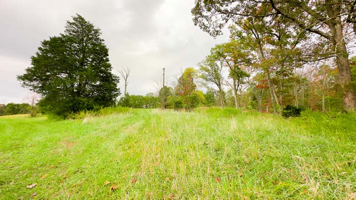 Wide view of 67 acre Red Hill Road property
