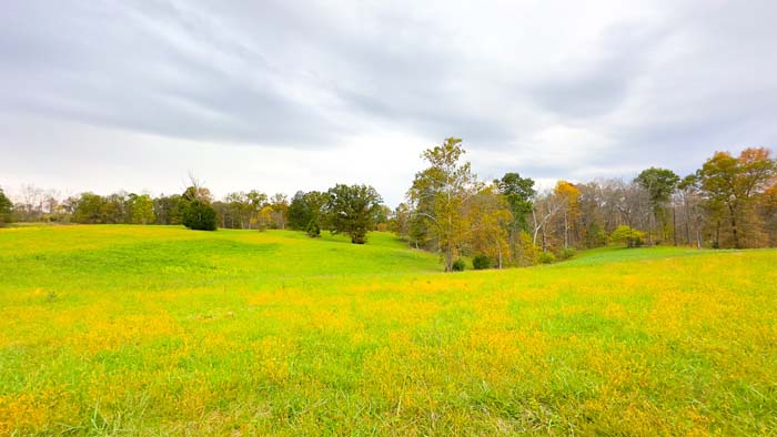 Rural Vinton County Ohio vacant land