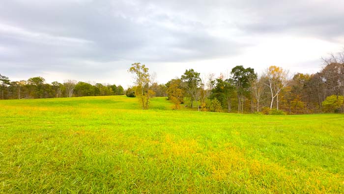 Pasture and pond views on Southern Ohio land in Meigs County