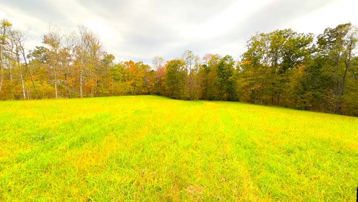 Rolling pasture and open field views on Meigs County land in Southern Ohio