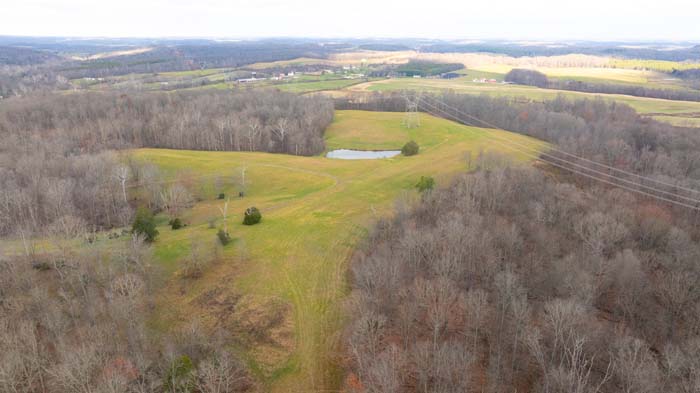 Wooded edges surrounding open pasture