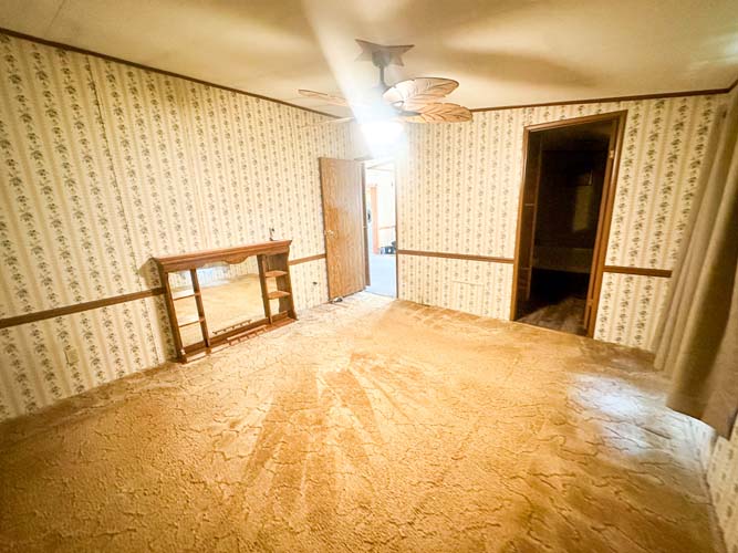 Open flat near timberline