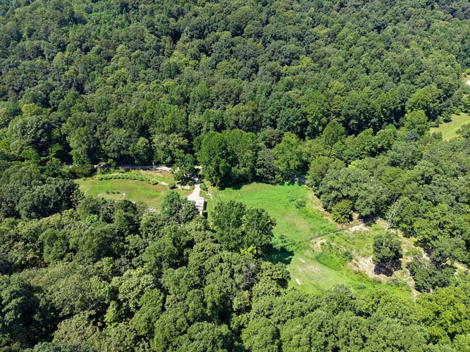 Upper ridge food plot