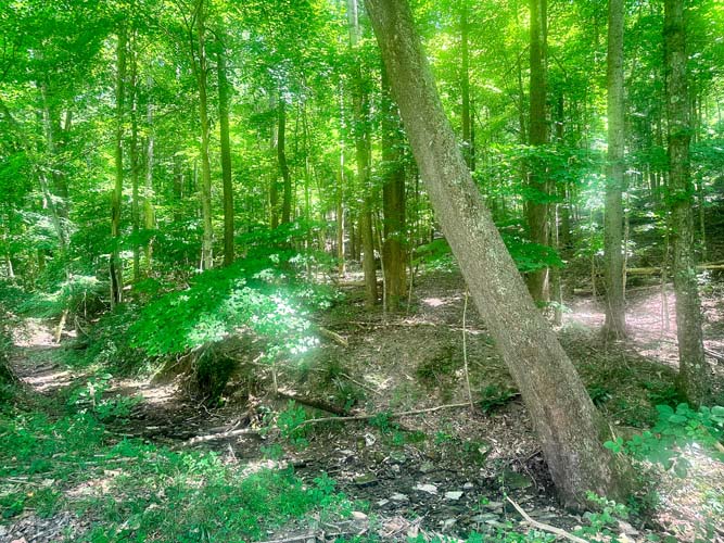 Quiet setting near Lucasville
