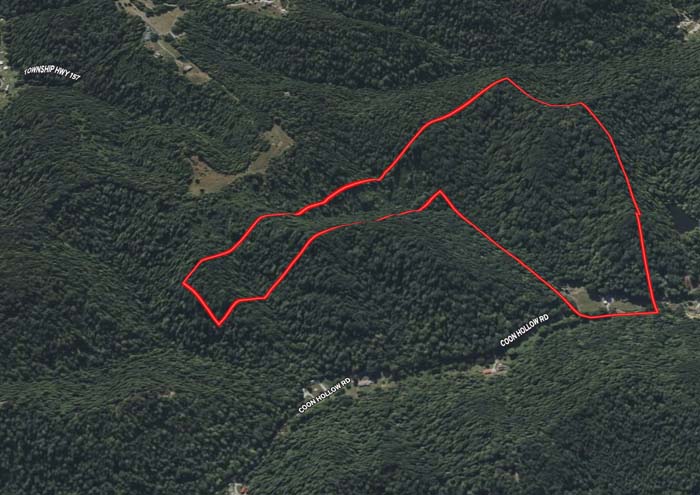 Winding ATV trail in forest