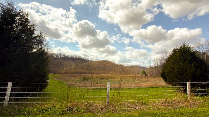 Wooded property ideal for outdoor recreation and hunting