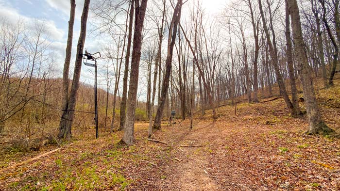 Private Ohio land with mature timber and natural landscape