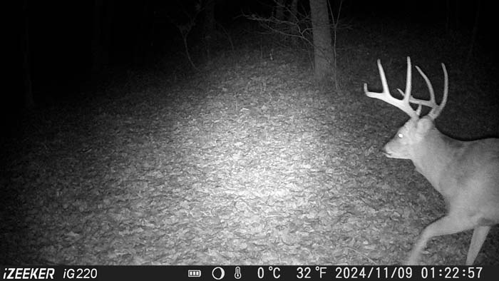 Rural land featuring rolling hills and wooded surroundings