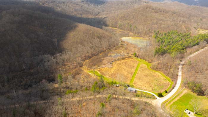 Ohio land parcel with mature trees and wildlife habitat