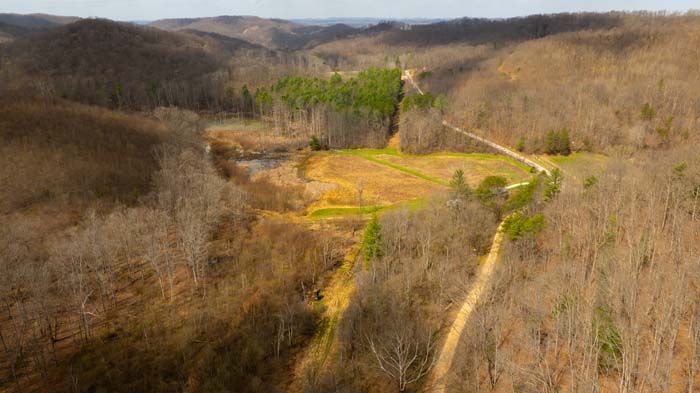 Wooded acreage with mature trees and natural terrain in Ohio countryside