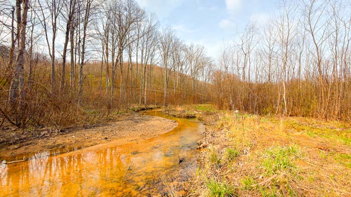 Mixed-use land with timber, trails, and open clearings