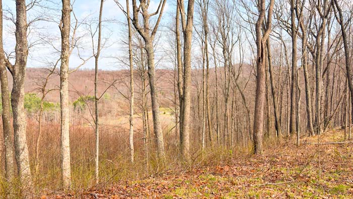 Scenic Ohio acreage with wooded hills and wildlife habitat