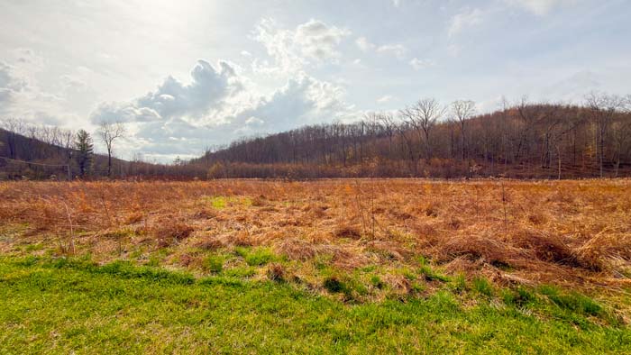 Rural property with mature trees and natural terrain features