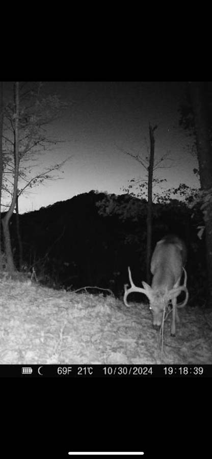 Private countryside land with forest and open land mix