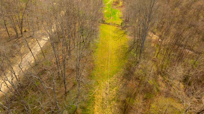 Outdoor land parcel with timber and wildlife-rich habitat
