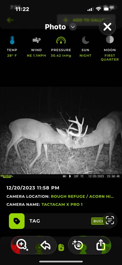 Rural Ohio land with natural forest and scenic views