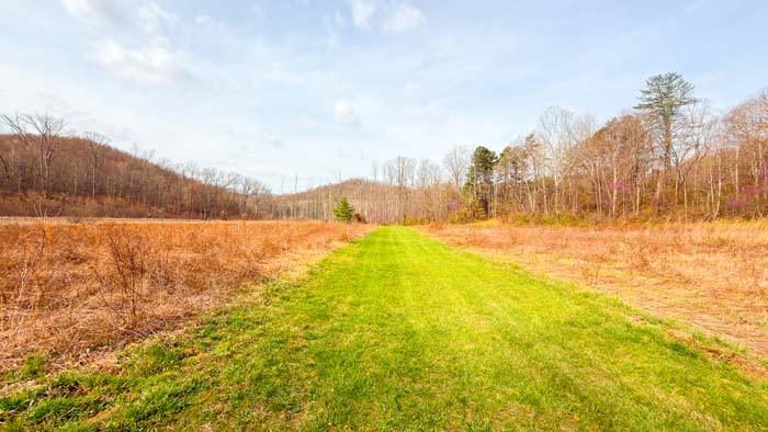 Wooded parcel with trails and natural rolling terrain