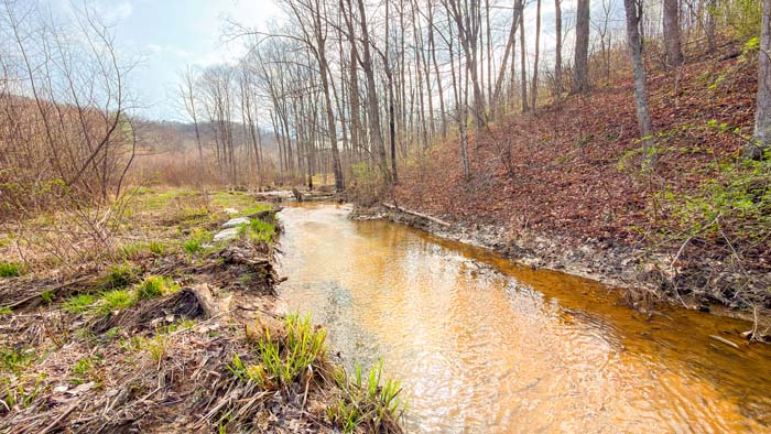 Rural Ohio property with scenic forest and wildlife habitat