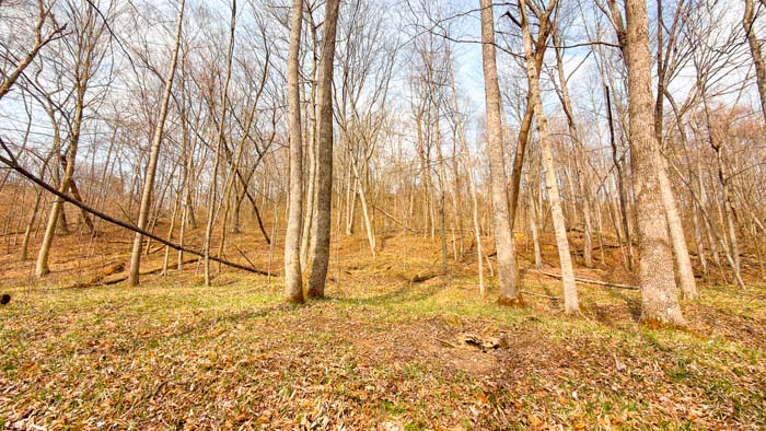 Wooded land parcel with rolling terrain and outdoor appeal