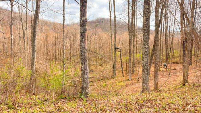 Secluded wooded property ideal for hunting and recreation