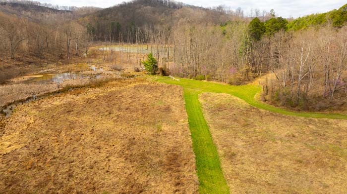 Outdoor property with forest cover and peaceful surroundings