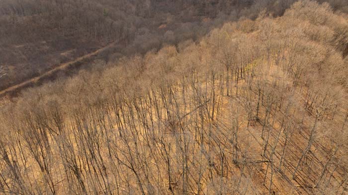 Wooded acreage with trails and rolling hills in Ohio