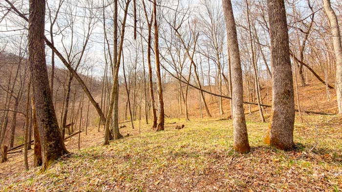 Ohio recreational property with forest and open clearings
