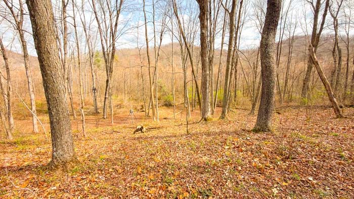 Country property with wooded acreage and rolling landscape