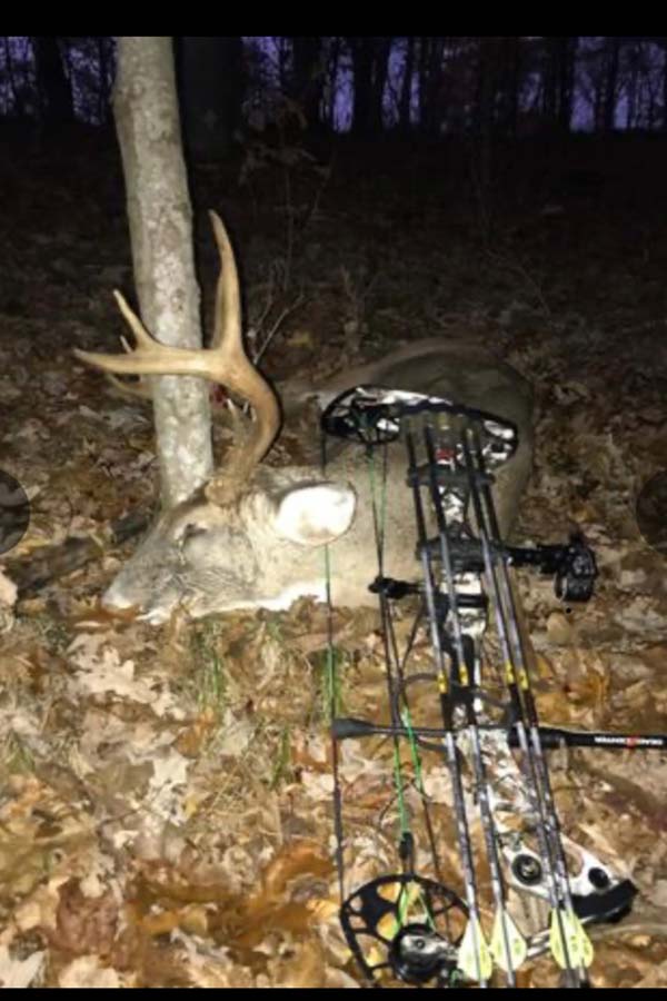 Recreational land parcel with forest and natural features