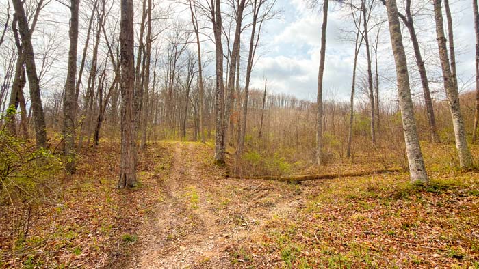 Ohio land for hunting with wooded hills and seclusion