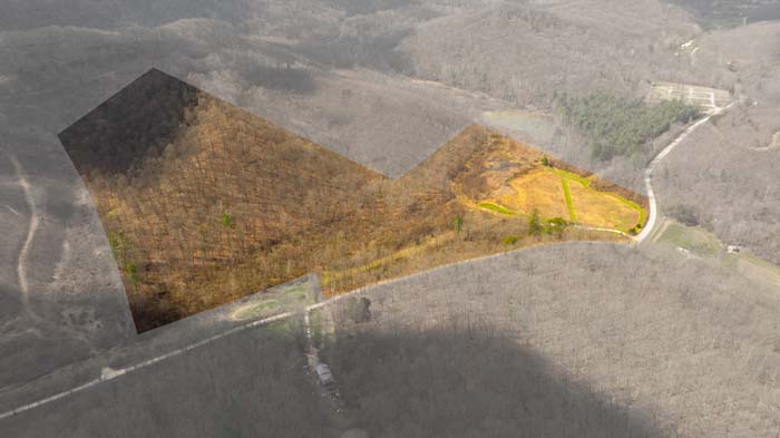 Country land parcel with natural forest and wildlife habitat